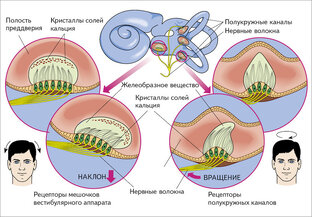 Полезно знать 