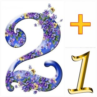 СП "Два в одном +один"