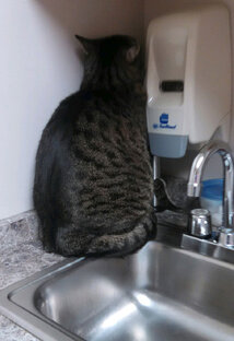 Депрессивное чмо