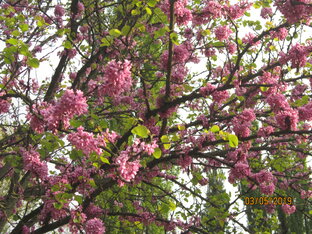 Осознанное материнство.