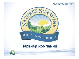 каталог НСП