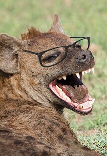  УМЕНЯ ГЕЕНА