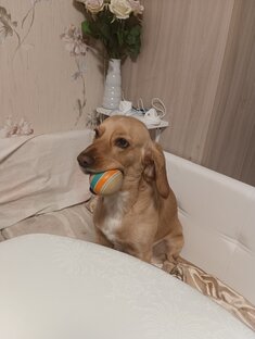 Знакомство