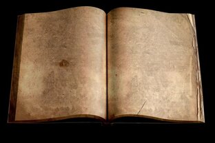 Увлекательная история