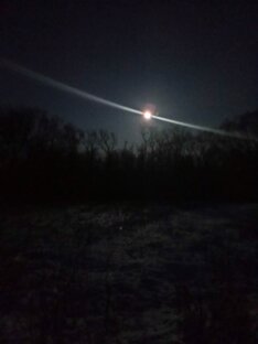 Ночная подборка