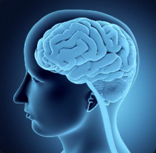  Психологические тесты, тесты на интеллект, личностные тесты и другие) 