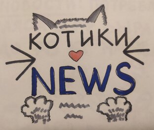 Котики News