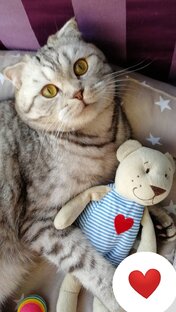 Я Милашка! 😻👍