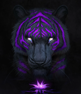 Животные земли