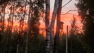 Мой Эрмитаж (место для уединения и отдыха)