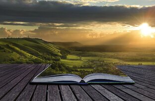 Про жизненный опыт.