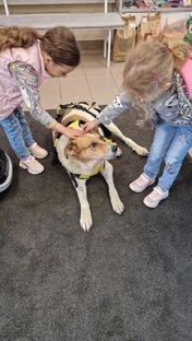 Дине срочно нужна помощь