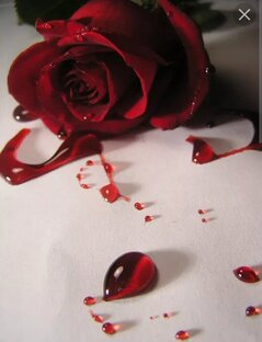 Любовь бывает зла...или беды от козла.