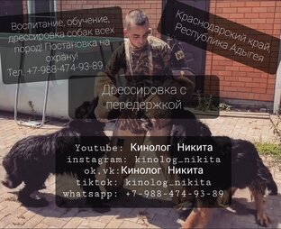Дрессировка собак по Краснодарскому краю