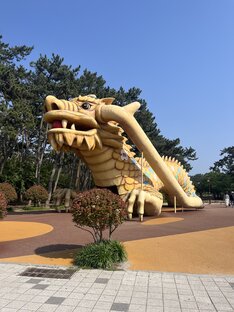 Южная Корея 