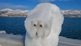 Необычные явления природы.