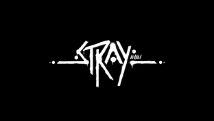 Stray