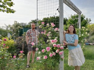 Мой сад на Кубани