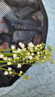 МамАнька на прогулке