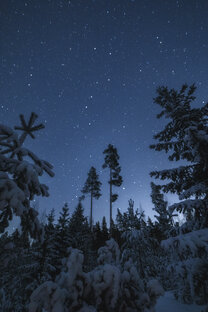 Ночные пейзажи