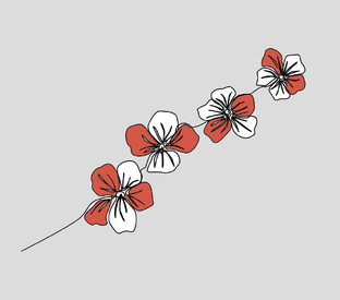 Полезные ресурсы