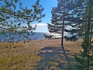 Карелия