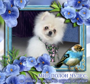 Мини открытки 