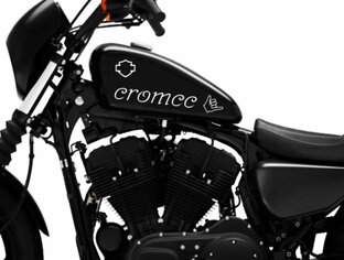 Custom bike