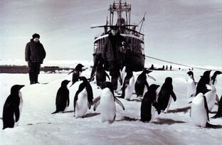 Пионеры советской Антарктиды