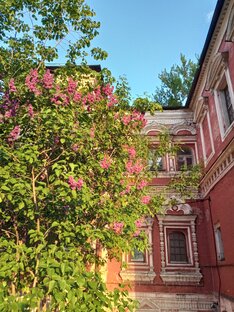 Спонтанные прогулки