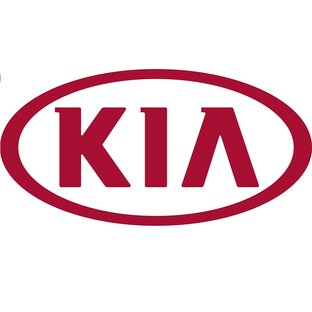 Удаление катализатора Kia