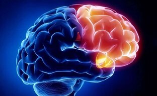 Биодобавки