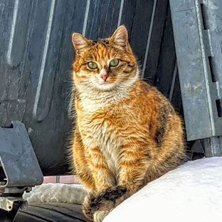 О тех, кому нужна помощь. Будни волонтера