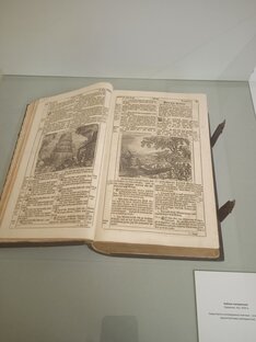 Докторские чтения 