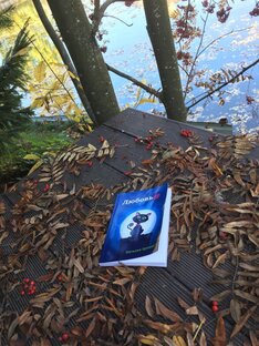 Читаю свой роман Любовь@