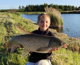 Трофейный Амур 