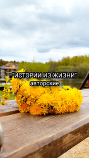 "ИСТОРИИ ИЗ ЖИЗНИ" авторские. АлексаОс.