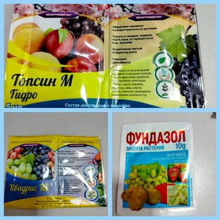 Лечим болезни, спасаем от вредителей