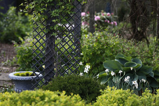 Времена года