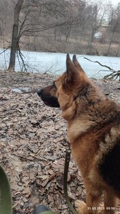 Март заканчивается