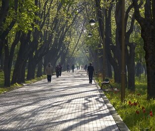Прогулки, бродилки