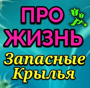 ПРО ЖИЗНЬ