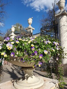 Праздники🌸