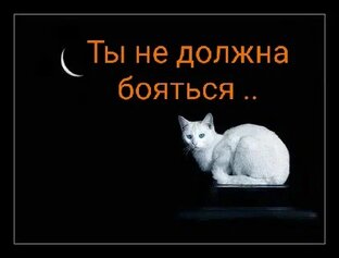 "Ты не должна бояться..."