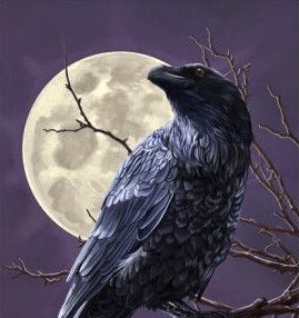 Вороненок Тёма и его друзья