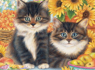 ПРО КОТОВ И КОТИКОВ