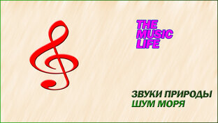 Звуки природы