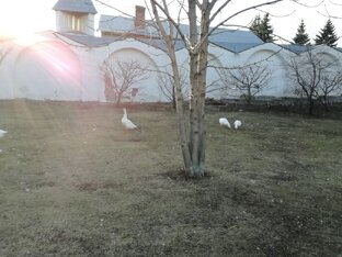 солнце светит для всех