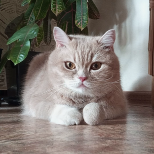 Обычные будни