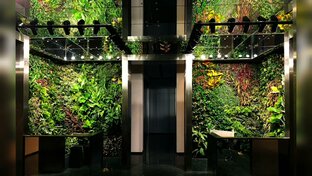 Флорариумная Экзотика